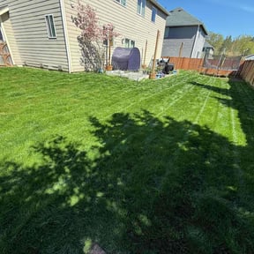 landscaping by Big Lew's reviewed on August 17, 2025