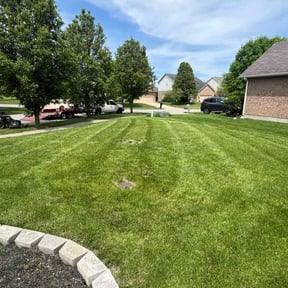 yard maintenance by Grass cutters reviewed on August 17, 2025