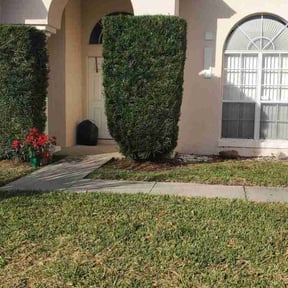Bush Trimming by Quick Quality reviewed on August 15, 2025