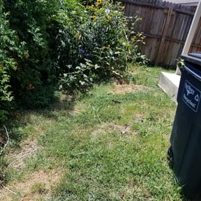 Bush Trimming by Torres Lawn Care reviewed on August 16, 2025