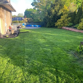 yard care by Daniel campos reviewed on August 19, 2025