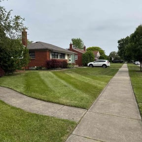 yard care by Dortch lawn care reviewed on August 18, 2025