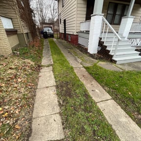 Leaf Removal by MowDeal reviewed on September 15, 2025