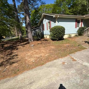 Bush Trimming by On Point Lawn reviewed on April 16, 2026