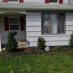 Bush Trimming by Amazon Lawn and Landscape reviewed on August 15, 2025