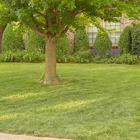 landscaping services by Spare Time Hardscape reviewed on August 18, 2025