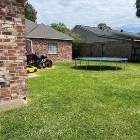 residential landscaping by Freshcut Lawn & Tree reviewed on August 20, 2025