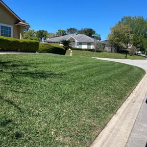 landscape maintenance by Wills Econo Lawn Service reviewed on August 16, 2025