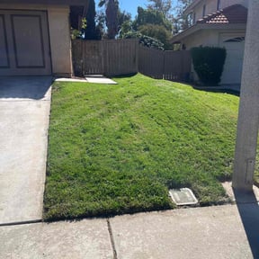 grass cutting by Jr Lawns LLC reviewed on September 19, 2023