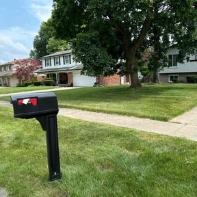 Long Grass Cleanup by Chucks Cutz LLC reviewed on November 23, 2025