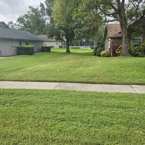 lawn service by Silent Treatment Lawn Care reviewed on August 21, 2025