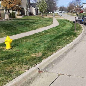 Leaf Removal by Precision Cuts Lawn Care reviewed on November 19, 2025