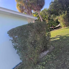 Bush Trimming by Christian Brothers Maintenance reviewed on January 6, 2026