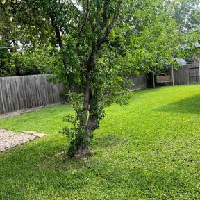 landscaping services by jerrys lawns  service reviewed on November 21, 2025