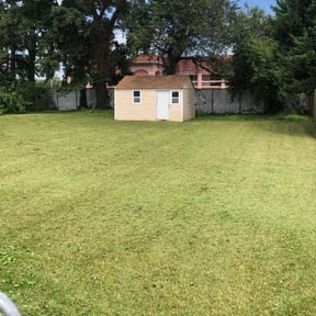 lawn service by DT&amp;K LawnCare reviewed on August 5, 2023