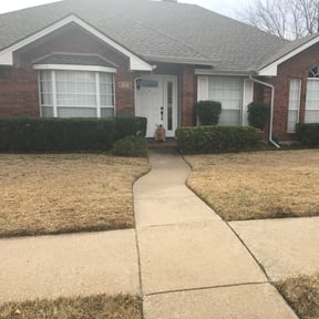 Bush Trimming by The lawn Guy reviewed on August 19, 2025