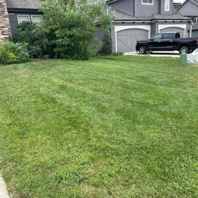 lawn maintenance by Polished detail reviewed on August 17, 2025