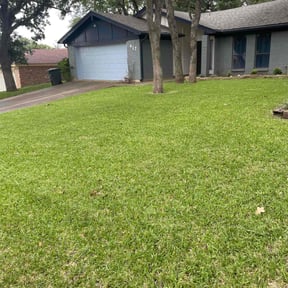 grass maintenance by Special Clips reviewed on May 13, 2025