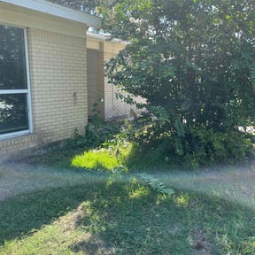 Bush Trimming by S &amp; S Outdoor Solutions reviewed on November 19, 2025