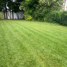 yard work by Richard's Services reviewed on August 20, 2025
