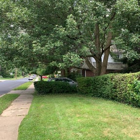Bush Trimming by Debbie Does It LLC reviewed on August 18, 2025