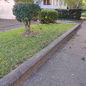 Bush Trimming by Top notch lawn services  reviewed on October 22, 2025