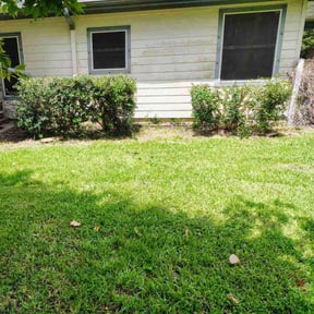 Bush Trimming by JLM LAWNCARE reviewed on August 16, 2025