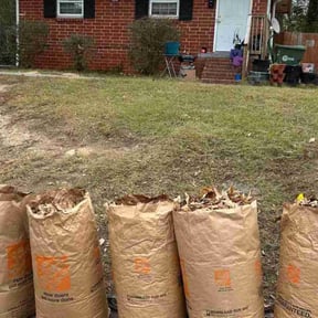 Leaf Removal by Denson's Total Lawn Care reviewed on August 21, 2025