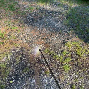 Flower Bed Weeding by Robert reviewed on August 15, 2025