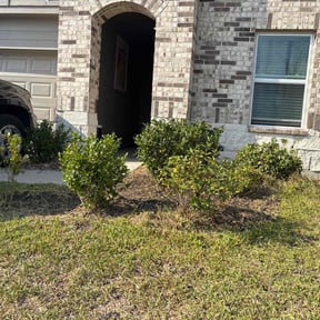 Bush Trimming by Pit dawg inc reviewed on October 18, 2025