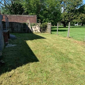 Bush Trimming by C.A. Lawnservices reviewed on August 16, 2025