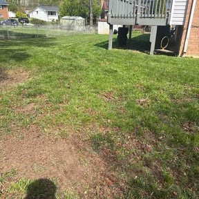 Flower Bed Weeding by Abdu Lawn &amp; Landscape reviewed on April 13, 2026