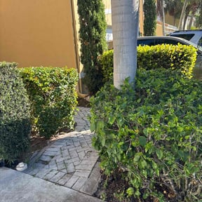 Bush Trimming by GB&#039;s Lawn Services reviewed on October 22, 2025