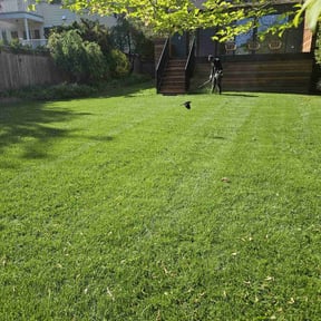 yard maintenance by Johnson Family Lawn Service reviewed on August 19, 2025