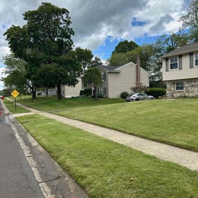 yard maintenance by Joshua Graham Landscaping reviewed on August 15, 2025
