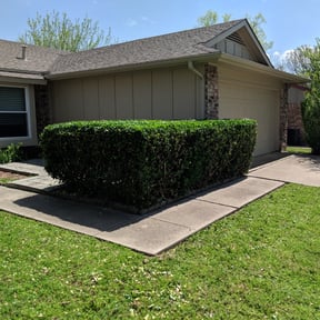 Bush Trimming by Palitsch Property Management reviewed on August 16, 2025