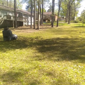 Leaf Removal by Wren Residential Landscape Company reviewed on September 21, 2025