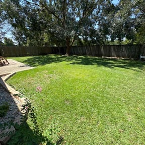 yard work by D's Lawn Care reviewed on August 18, 2025