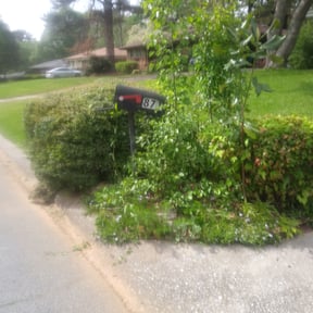 Bush Trimming by One Leaf reviewed on August 21, 2025