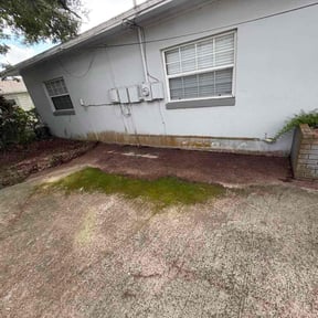 Leaf Removal by Judson Auguste reviewed on September 16, 2025