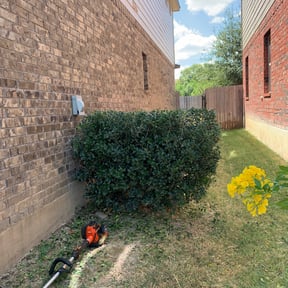Bush Trimming by 20-20 Lawn Care reviewed on August 19, 2025