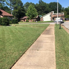 yard work by Lawn Care reviewed on August 21, 2025