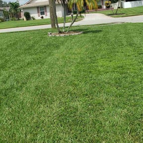 landscape maintenance by Stephen's Lawn Mowing reviewed on August 21, 2025