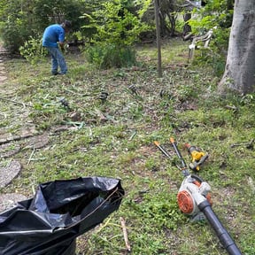 Bush Trimming by SV Mowing reviewed on April 20, 2026