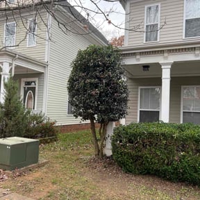 Bush Trimming by Lawn Stars reviewed on November 20, 2025