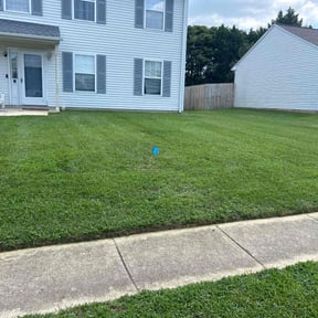 gardening service by Turn Around Landscaping reviewed on August 18, 2025