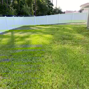grass cutting by Carbon Dioxide Recyclers reviewed on July 18, 2023
