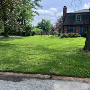 yard service by Hedge Above Lawn Services reviewed on August 21, 2025
