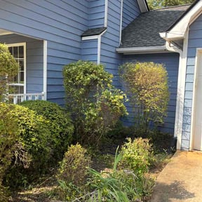 Bush Trimming by Pitchfork Landscaping reviewed on April 20, 2026