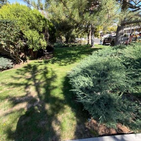 yard care by A-Z Land Care reviewed on November 22, 2025